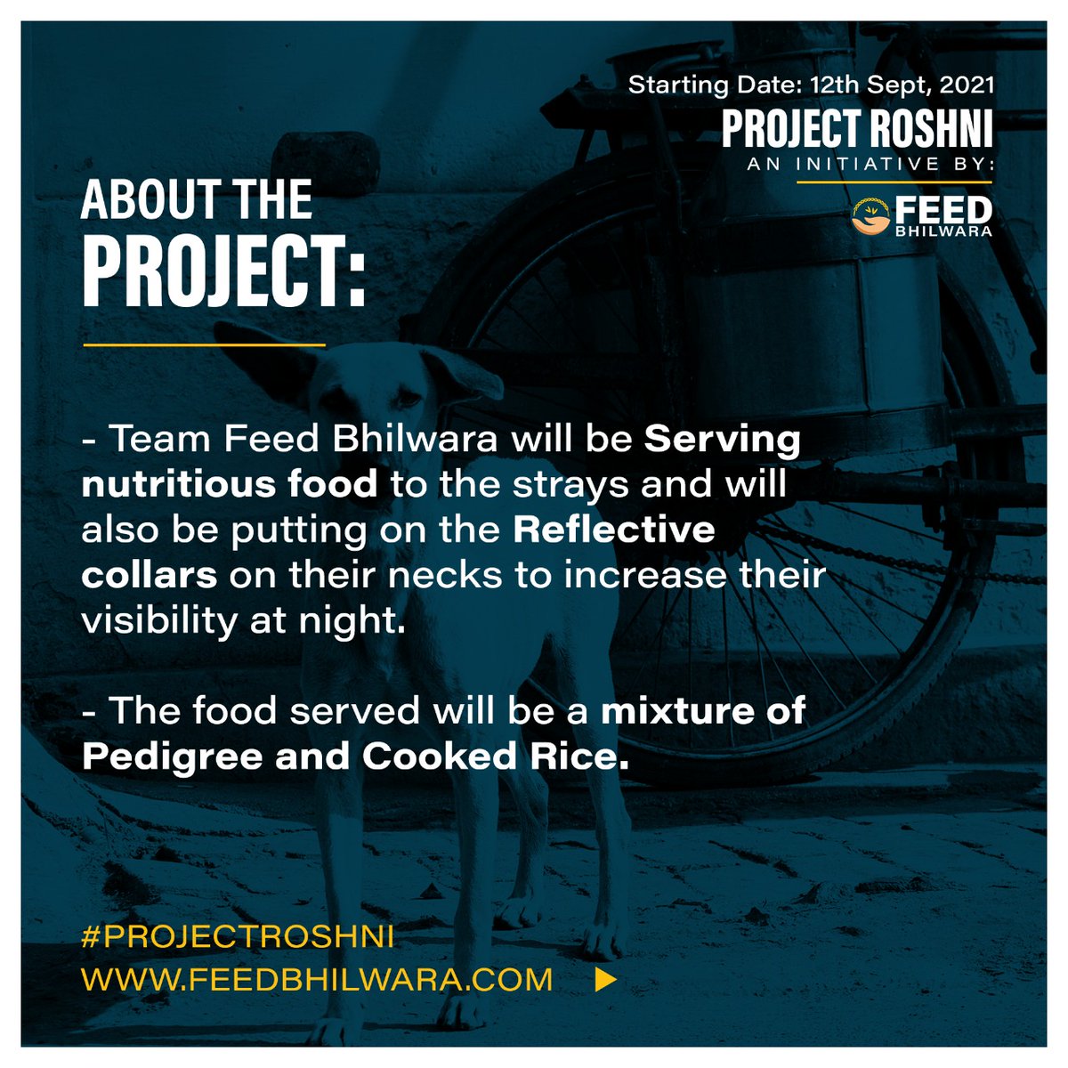 FBhilwara's tweet photo. Objective of the Project🎯: To Reduce the Accidents occurring at night.
Feed Bhilwara is initiating this campaign to reduce the misspellings at night 🌃due to the lack of visibility of stray dogs. 
Show your support by sharing this post with the hashtag 🔆 #projectroshni https://t.co/188QhjfvLO