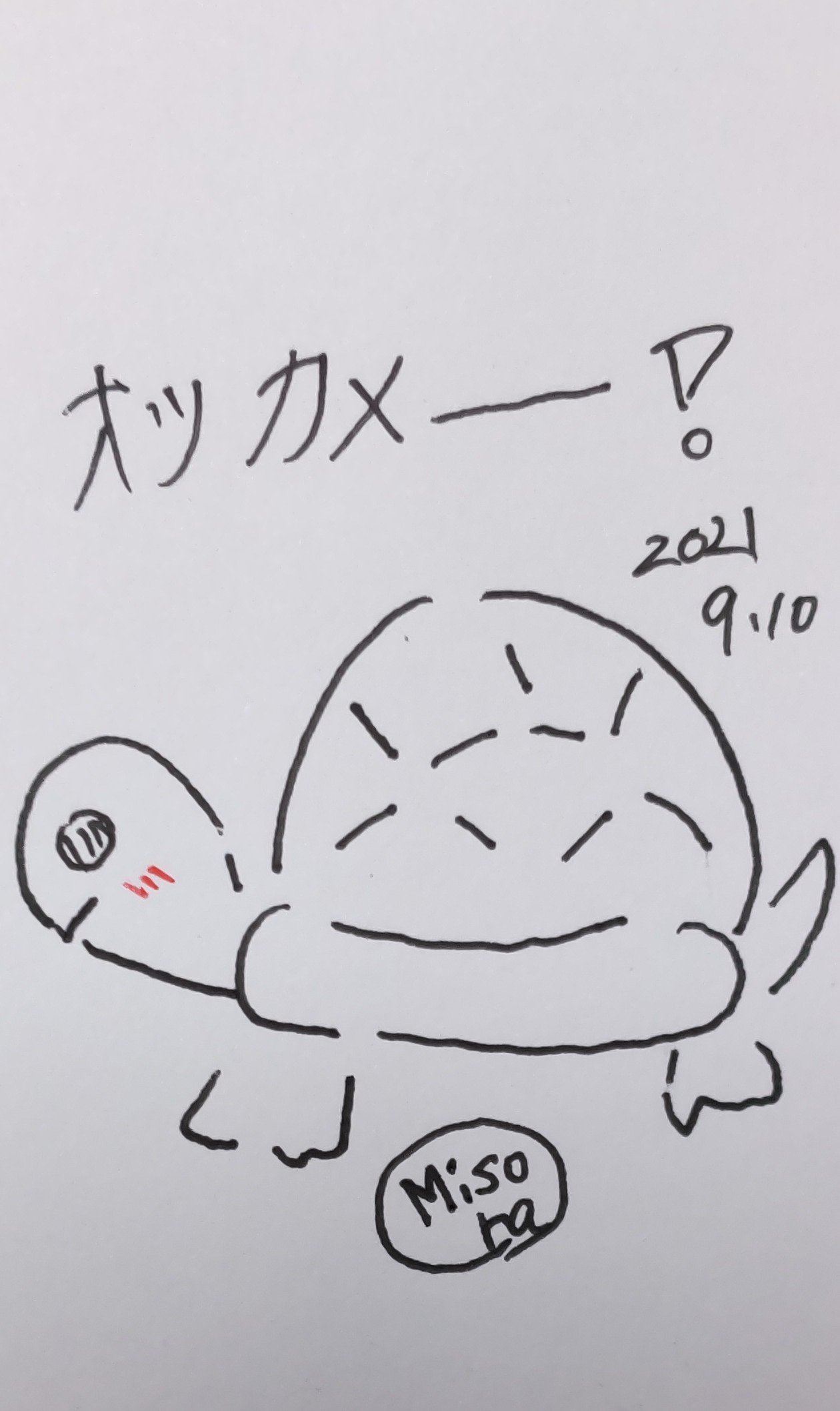 亀イラスト Twitter Search Twitter