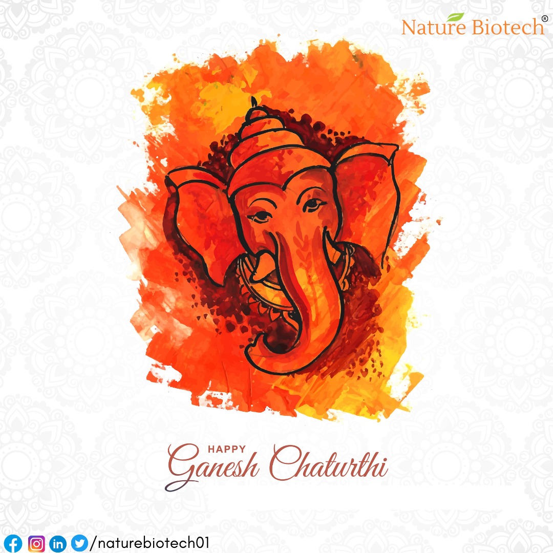 May Ganpati Bappa bless us all with prosperity, positivity, love and happiness this Ganesh Chaturthi.

#GaneshChaturthi2021 #happiness #enjoy #love #positive #success #Indianfestiv #GanpatiBappa #blessings #Ganeshfestiv