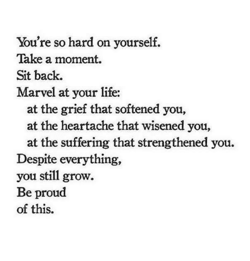 Everyday Mindfulness tweet media