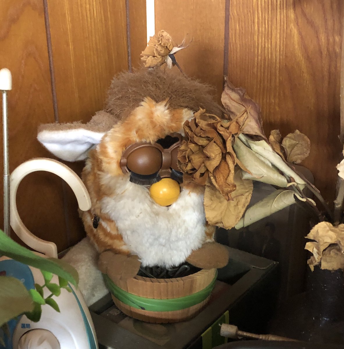 nanananachance's tweet photo. 今日実家ですごいものが飾られているのを見た気がするんだけど、
これ見てすぐ名前言える人どれくらいいる？
ちょっと知ってる人だけRTしてみてくれる？ https://t.co/16yNa1EC76