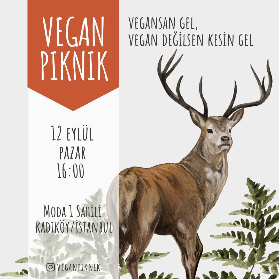 VeganDevrim tweet picture