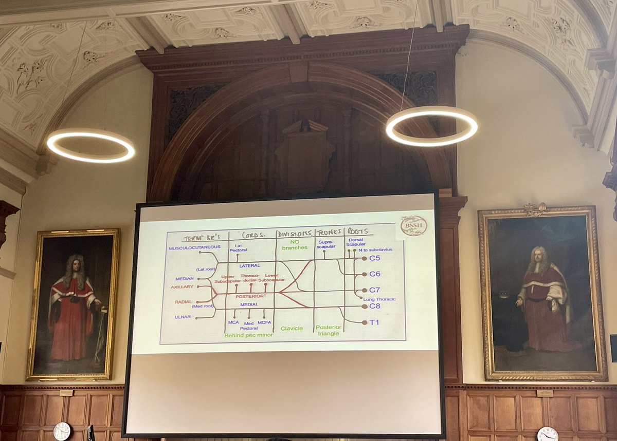 Brachial plexus looking particularly grand this morning! <a href="/BSSHand/">British Society for Surgery of the Hand</a> <a href="/WonderClaire8/">Claire Sethu</a>