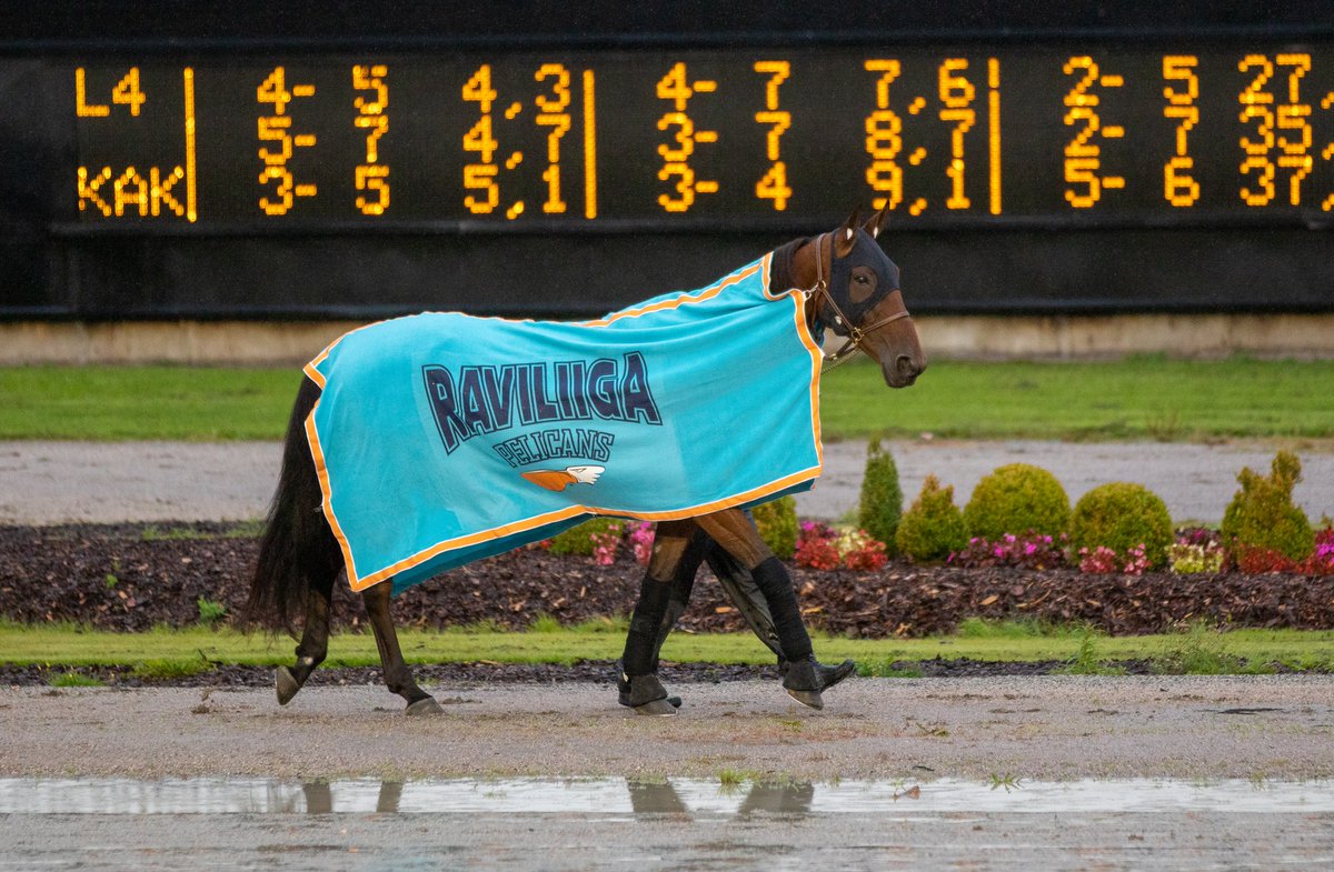 Jokimaan raviliiga Pelicansin 15 200 € suuruinen summa jaettiin hyväntekeväisyyskohteisiin. Potti jaettiin Lahden Iceheartsille, Payback Lahti Ry:lle ja Jokimaan ravinuorisotyöhön.
Kiitos Raviliiga Pelicans ja Piece of Glory ❤️