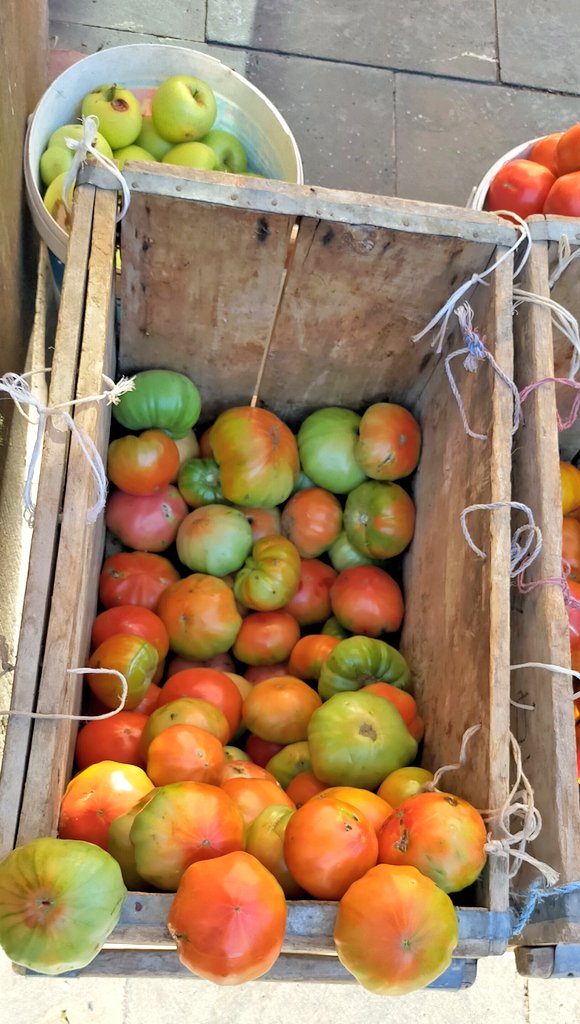 mem_mirxan's tweet image. Mirov ji vî fotoğrafi re bêje sandoqa firingiyan kêm e.
Ev tabloyêk sebzeyên xwezayî ye.
Bu fotoğrafa sadece bir sandık domates demek eksik kalır. Bu bir doğal sebze tablosu...

#domates #köydomatesi 
#fringi #balicanêsor #şamik #domat #îstenbolî