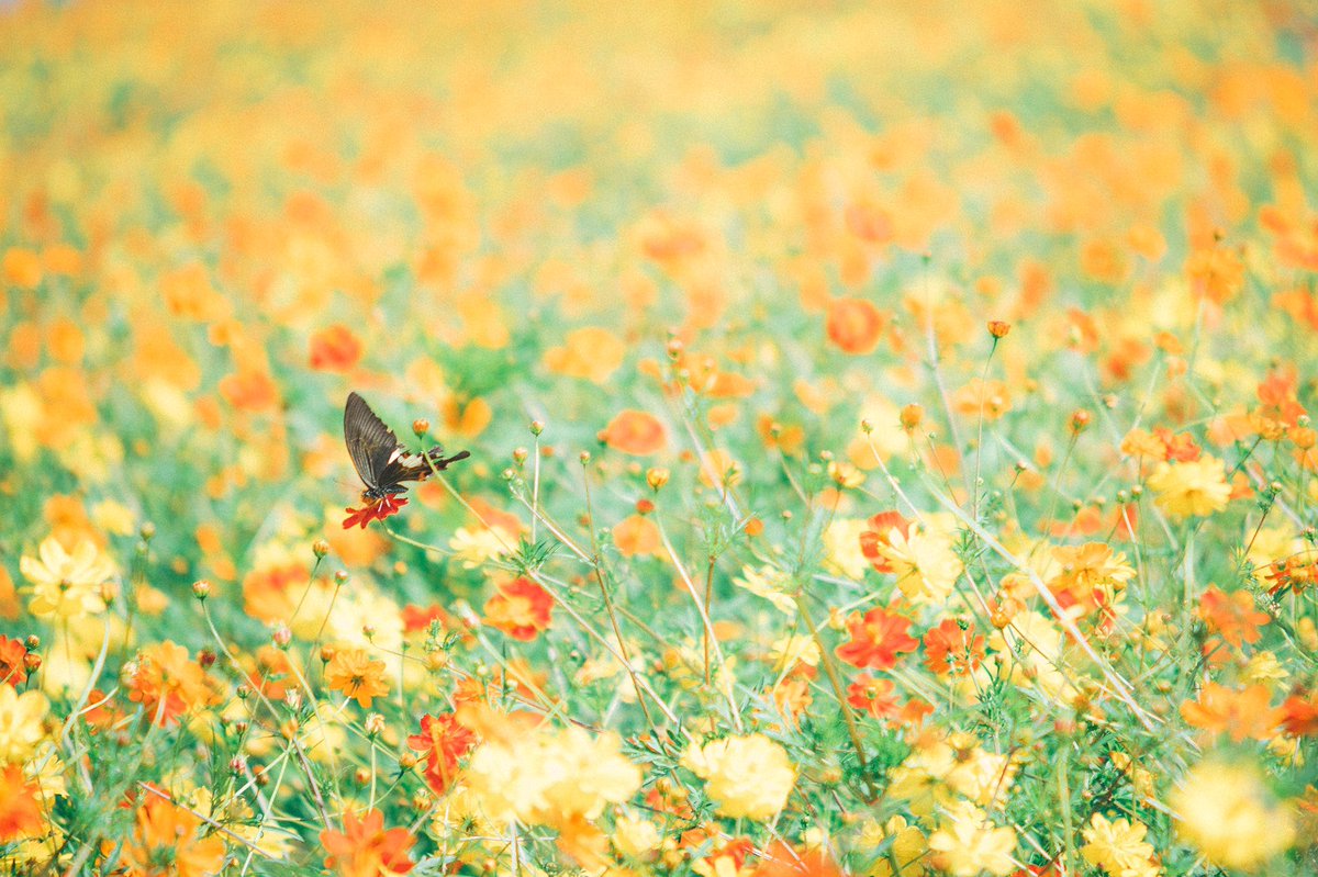 まるでおとぎ話の世界。