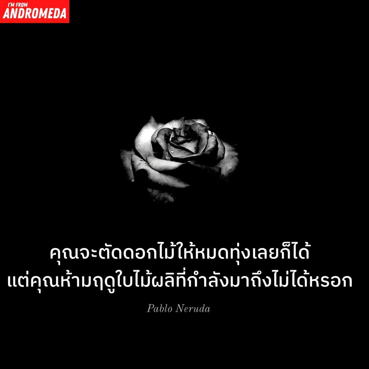 Jj tweet media
