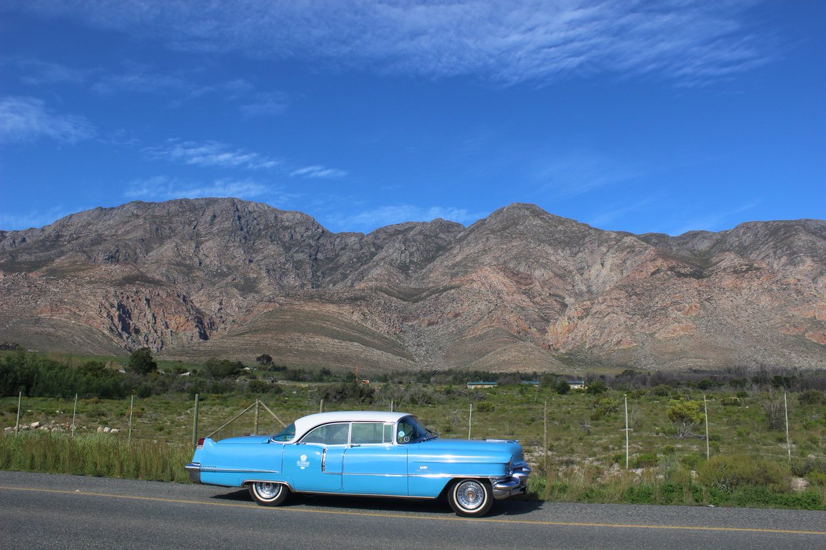 Nothing like cruising in a classic 1956 Cadillac! The American Dream Car Tour showcases Montagu, Route 62 &amp; the surrounding areas. A must do activity when staying at the Montagu Country Hotel. #CapeCountryRoutesmember #CapeCountryRoutes #CCRactivity #CCRaccommodation #travel