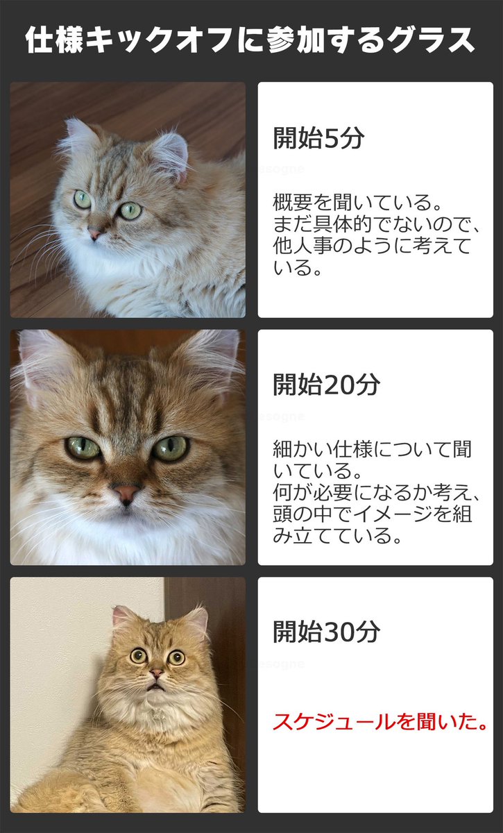 表情豊かな猫さんが演じる キックオフミーティングに参加したuiデザイナーの日常 業種を越えて共感される Togetter 表情豊かな猫さんが演じる キックオフミーティングに参加したuiデザイナーの日常 業種を越えて共感される Togetter