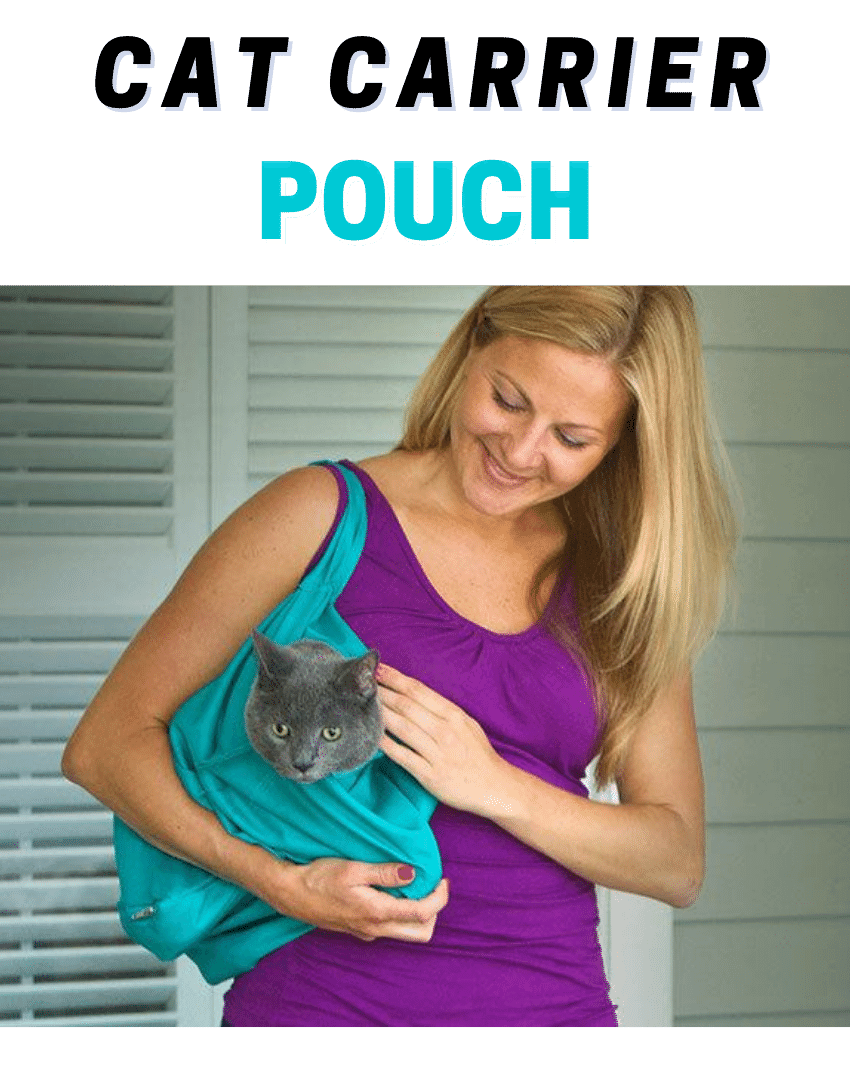 cat carrier pouch