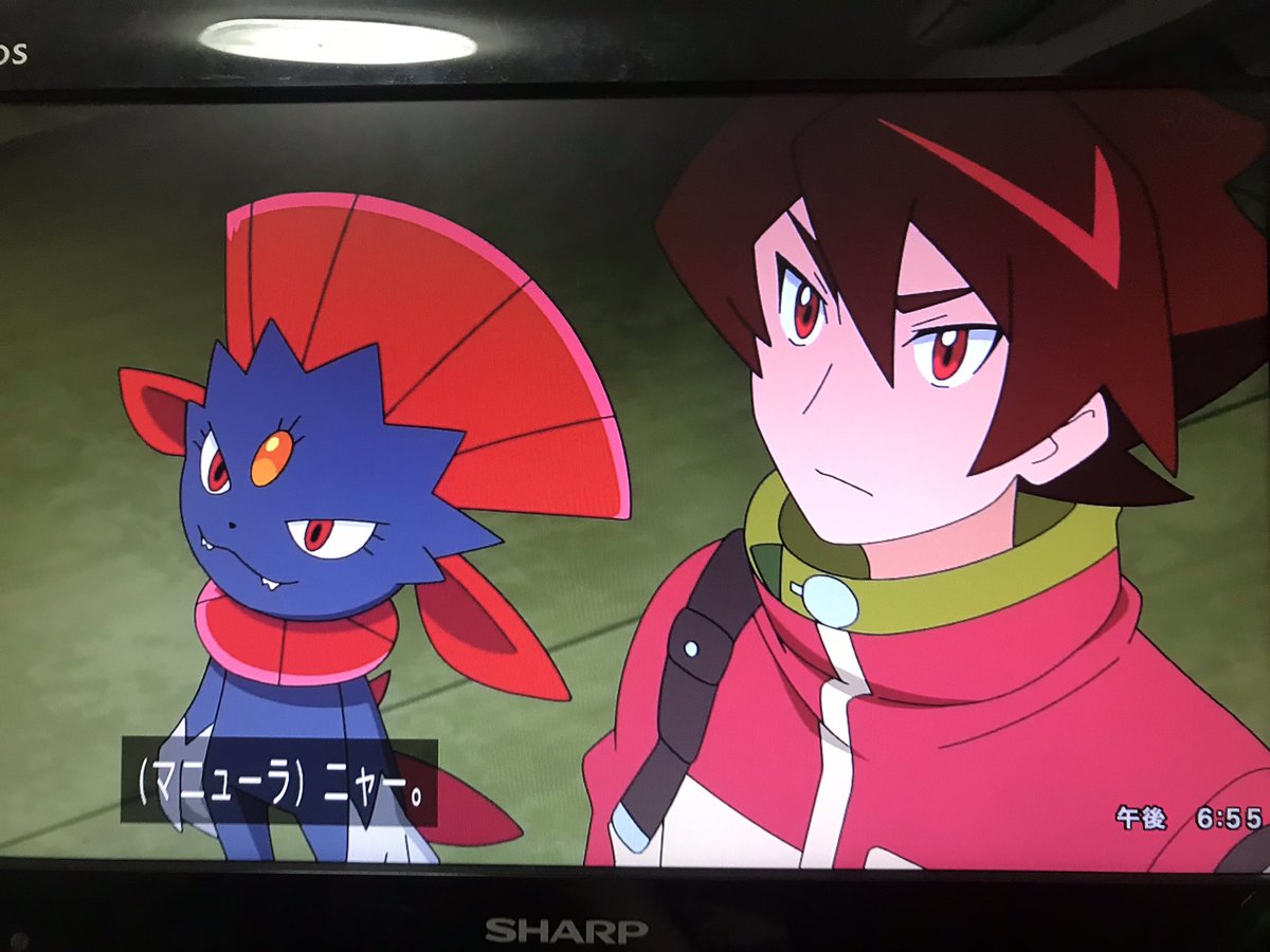 ポケットモンスター アニメレーダー ポケットモンスター アニメレーダー