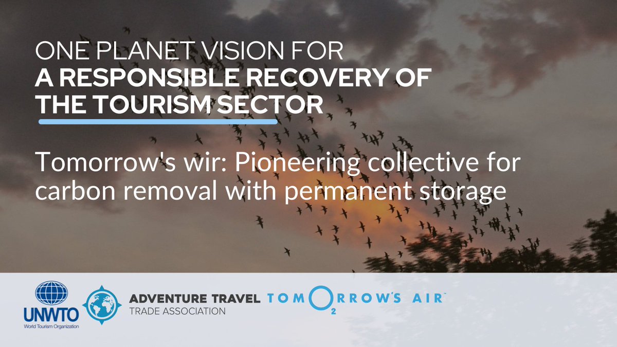 UN Tourism tweet media