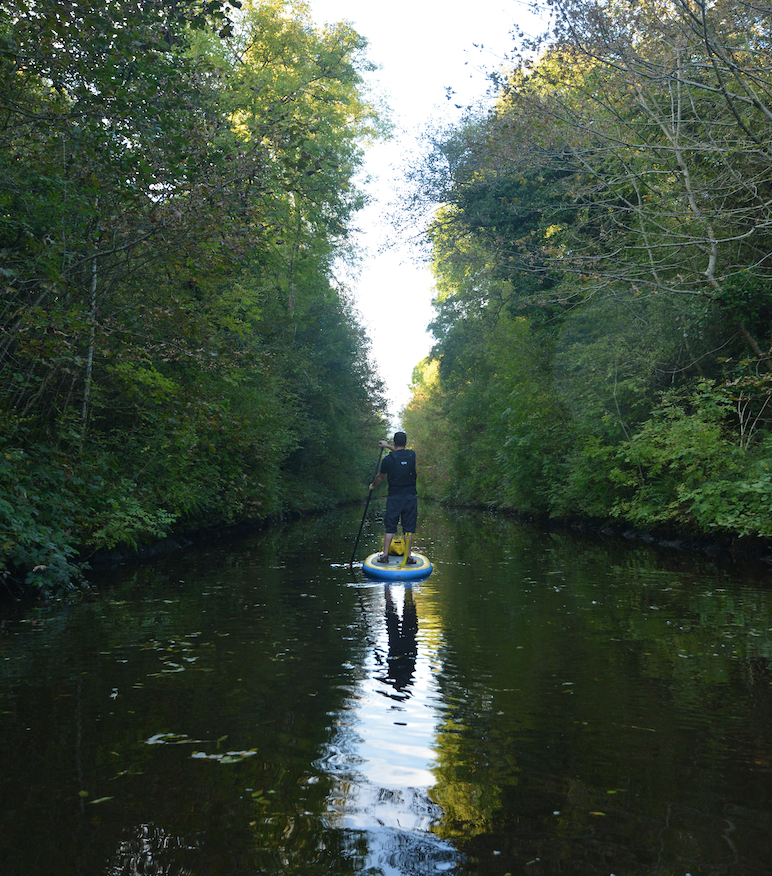 @poloconghaile tweet media