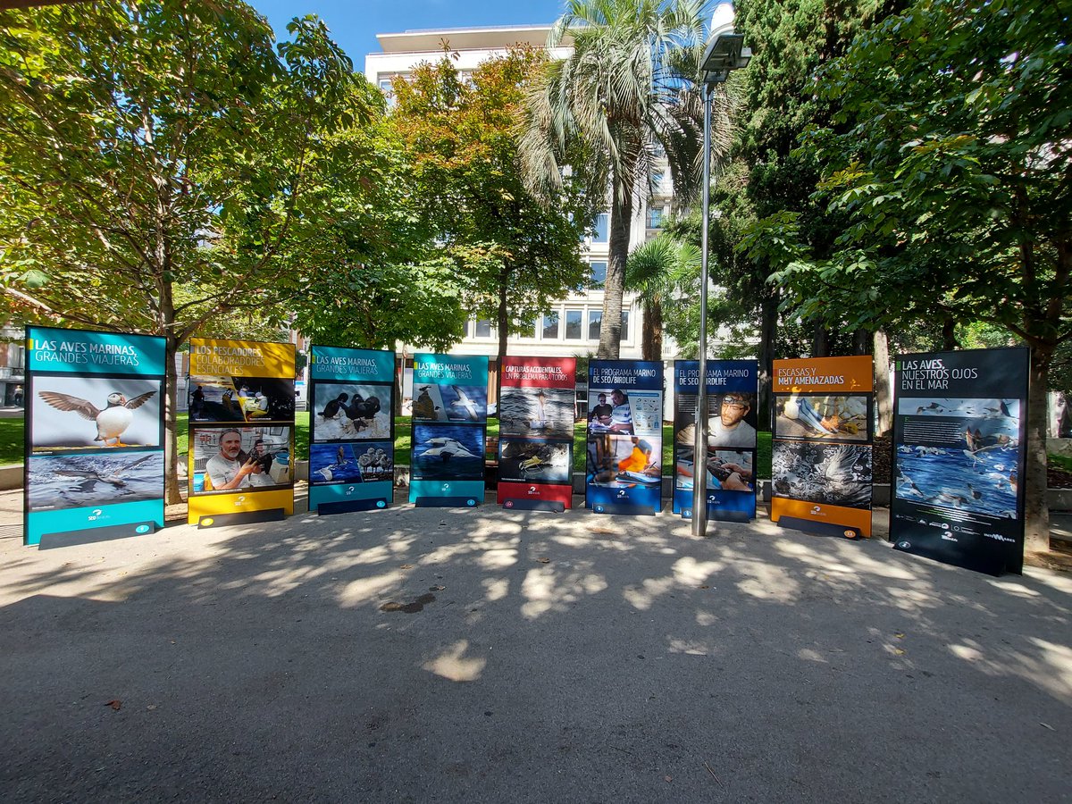 Todo listo para la inauguración de la exposición "Las aves, nuestros ojos en el mar" de <a href="/SEO_BirdLife/">SEO/BirdLife</a>, que empezará en el Paseo de Recoletos, frente de la Biblioteca Nacional a las 13:30h. Mañana sábado a las 11h habrá una charla de la exposición en la feria. Os esperamos!