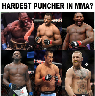 🌴ᴛʜᴇᴀʀᴛᴏꜰᴡᴀʀ🌴 tweet media