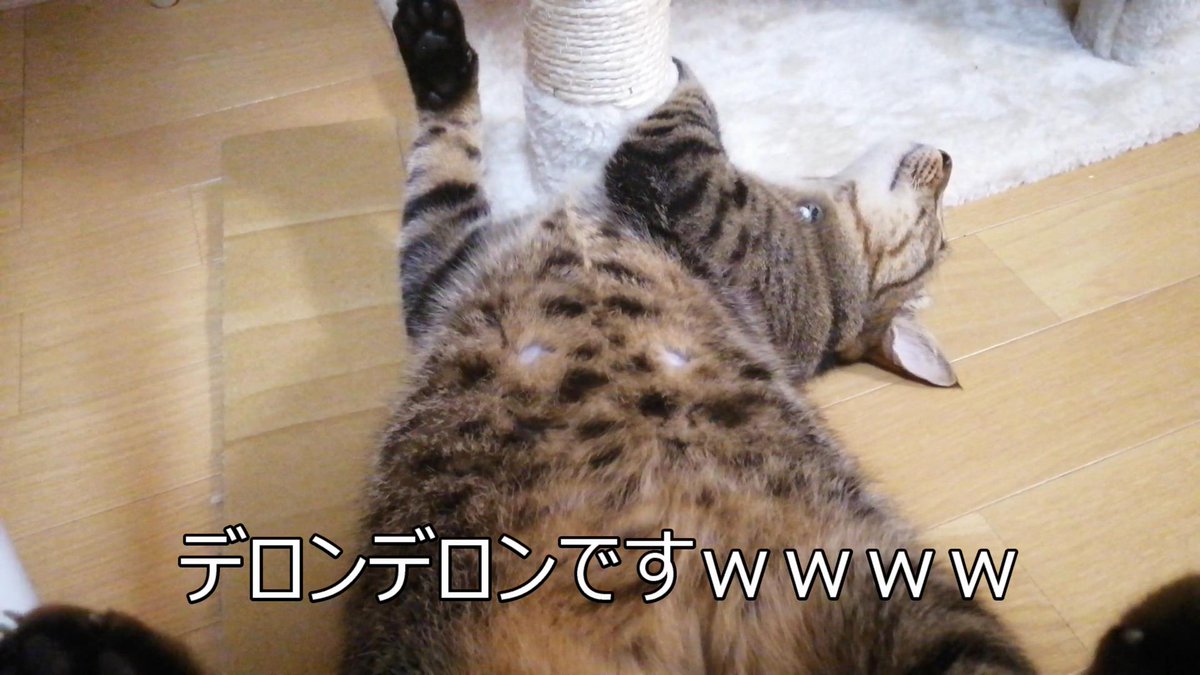 ぬーチューブ (@nutubeafloman)  Twitter