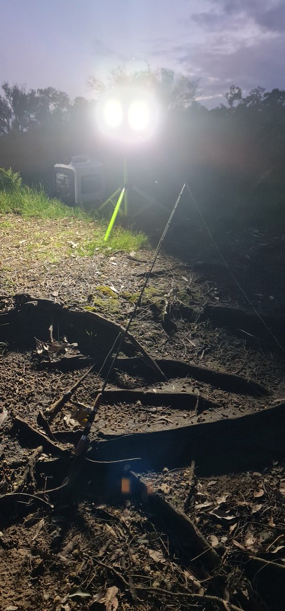 AUSTRALISFISHIN's tweet photo. Twilight #fishing #livestream generator,  lights and #fishing #rod and #Reels 
Hope we can help you cope with #Covid_19 
https://t.co/sZiP2gyxQ1
#YouTubeはじめました #YouTuber #youtubepremium #facebook #fishing #purecontent #Streamer_RTs #StreamerCommunity https://t.co/qAFxEfPGGI