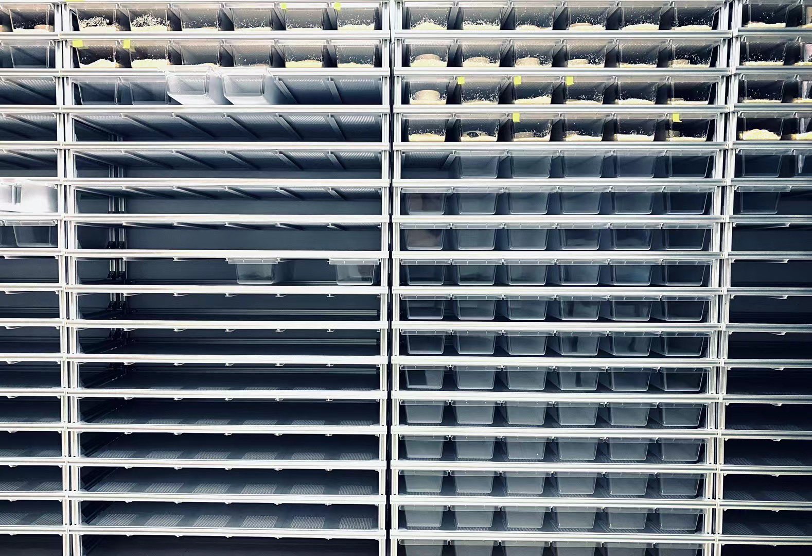 ブリーダーラック REPAZ 組み立てブリーダーラック ホワイト 小(タブ付き 蓋無し