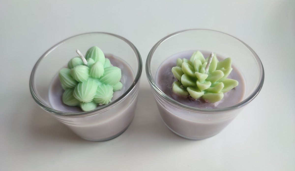 Entre Manchas. tweet media