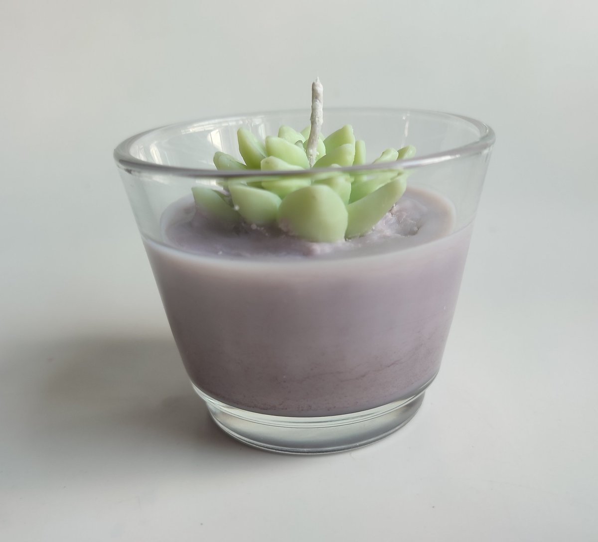 Entre Manchas. tweet media