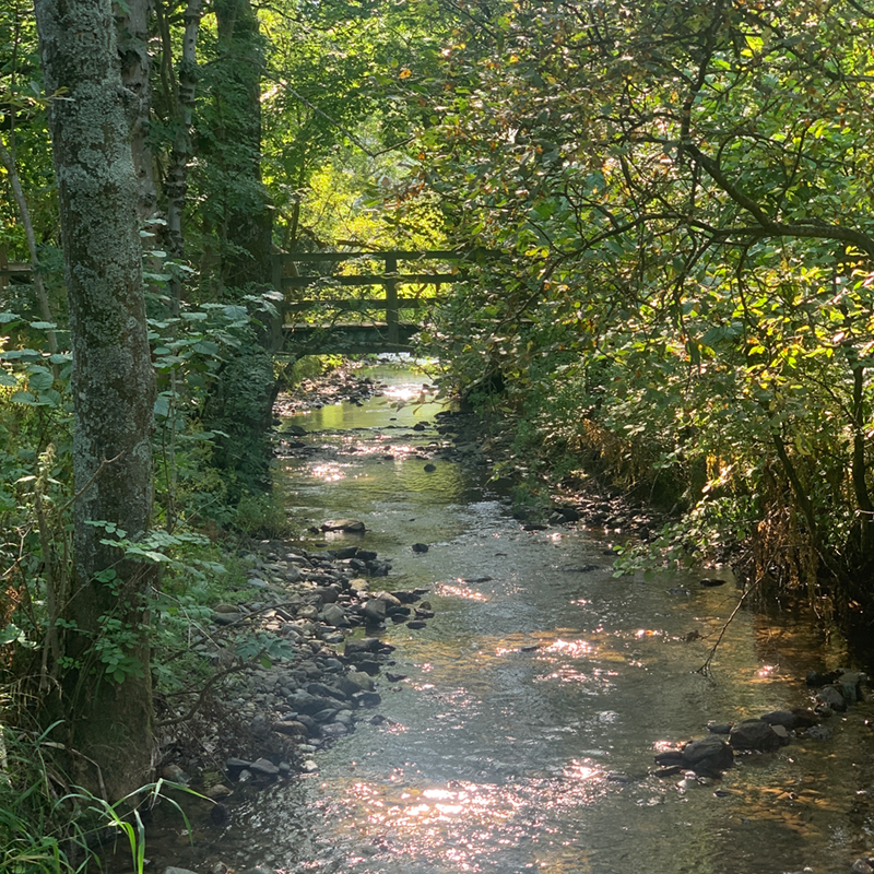 howtowncottages's tweet image. Low Gale - LATE AVAILABILITY - 4 night stay Mon 11th Oct - Fri 15th.
Sleeps 7 - Dogs Allowed. More details &amp;amp; booking on howtowncottages.co.uk
#ullswater  #lovethelakes 
#selfcateringholidaysullswater 
#lakedistrictholidays  
#lakedistrictholidaycottage 
#dogfriendlylakes