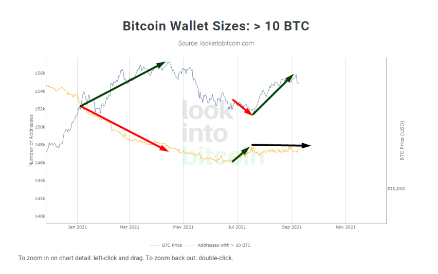 GeorgeWegwitz's tweet photo. En @AxiaGlobalTr  me comentan que los wallets >1000 btc no es un dato fiable, que se puede segregar en varios wallets en vez de uno grande. Esto son lo datos de wallets >10 btc https://t.co/BZG7StwXY9