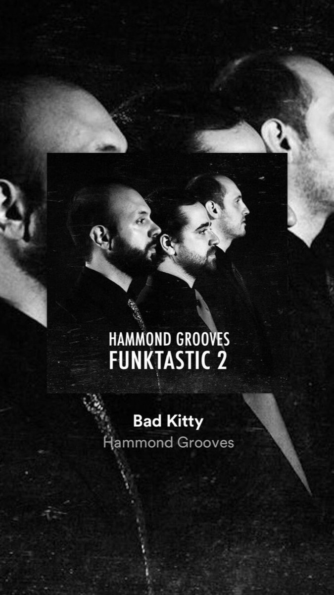 New single #badkitty for the album #funktastic2 #hammondgrooves #organtrio #jazzorgan #organjazz #brazilianjazz #hammondb3 #spotify #itunes #youtube