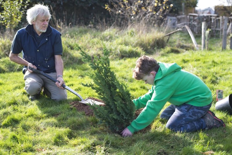 Newly planted commercial conifer forest can achieve 2-3 times greater climate change mitigation by 2050 than semi-natural alternatives according to a study from <a href="/BangorUni/">Bangor University</a> 
We need to plant conifers now and in mixed plantations for diversity.
#planttrees
 woodknowledge.wales/wp-content/upl…