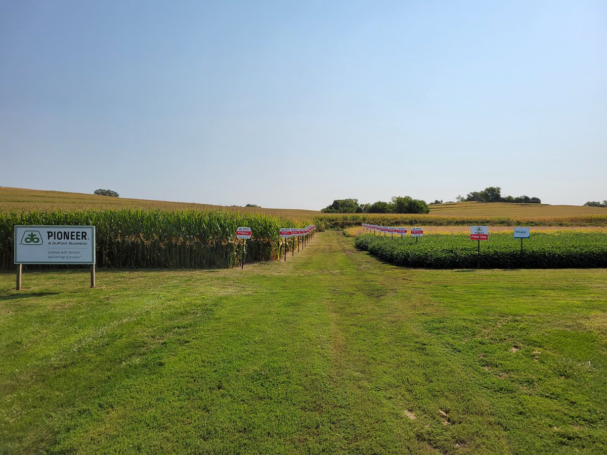 Field day / Plot supper Monday
#enlistsoybeans
#Pioneerseeds