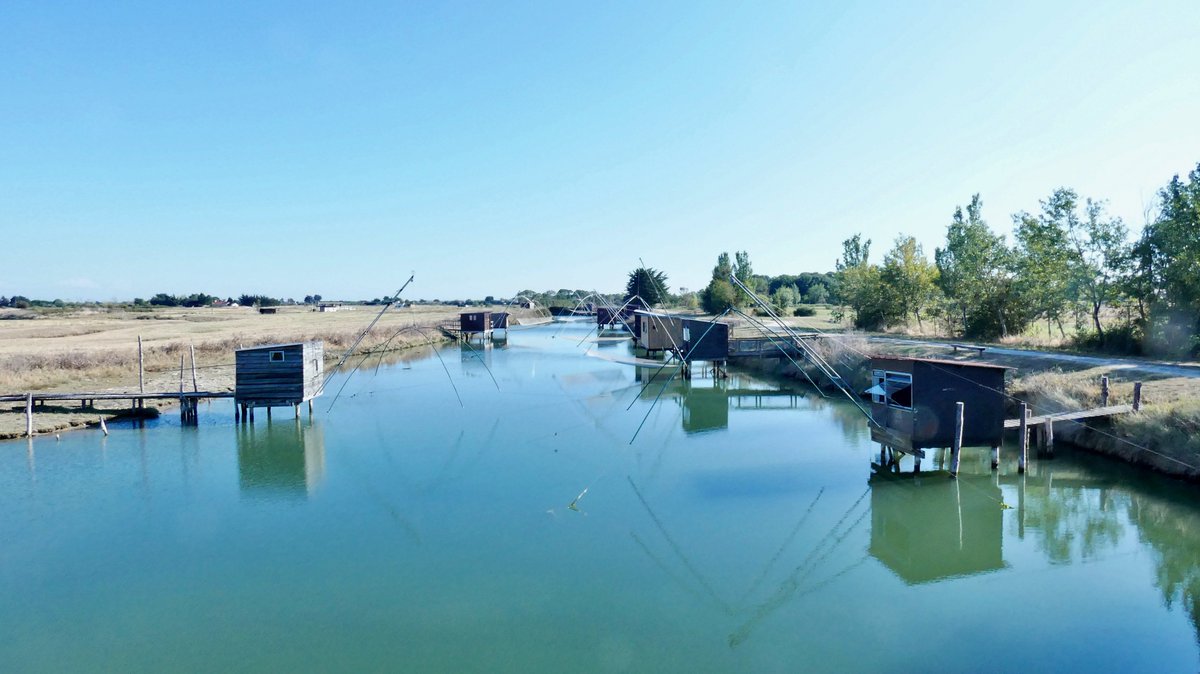cboisseau4's tweet photo. #carrelets ou #pêcheries #vendée [Just a sunny day] https://t.co/pYSUWj4wiB