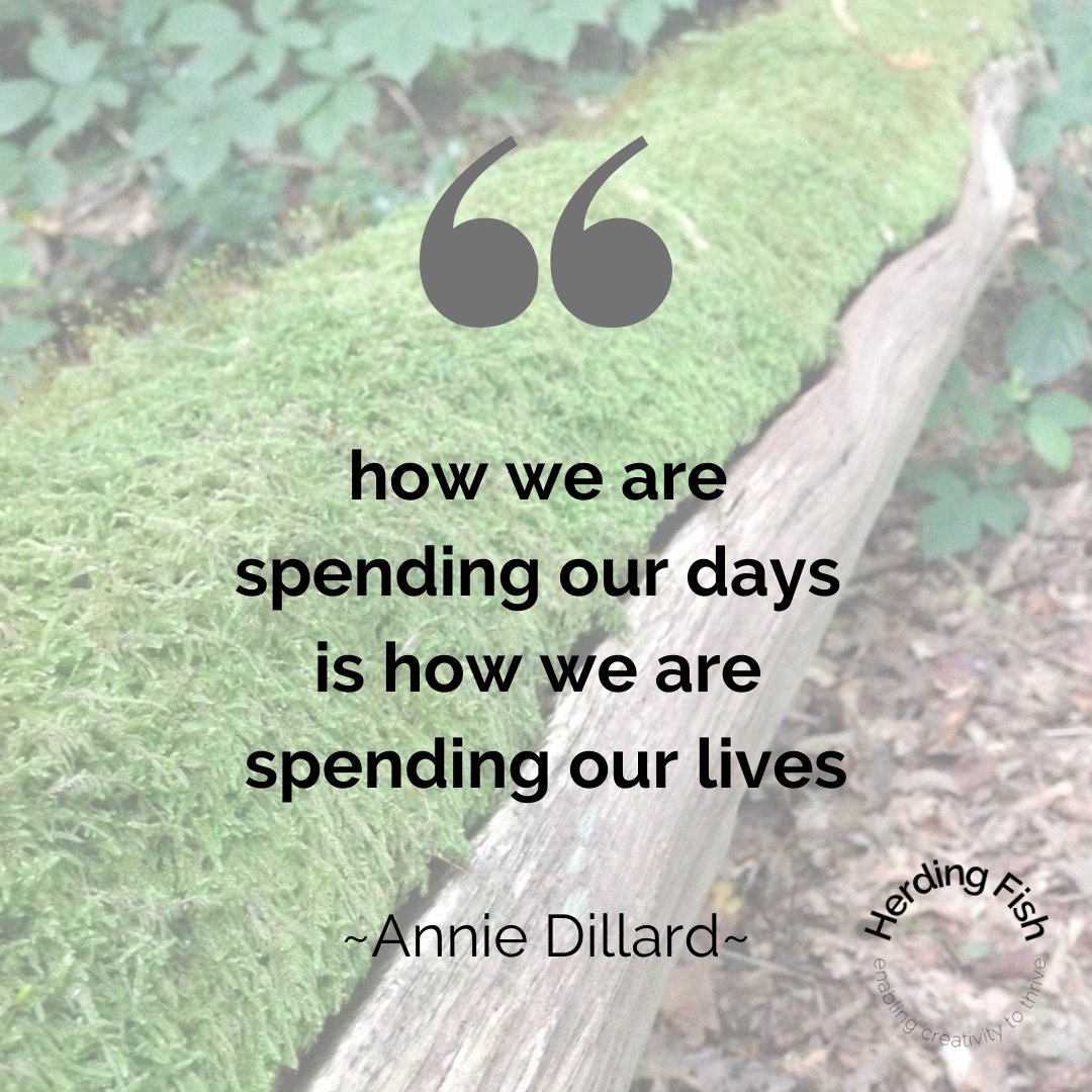Herding_Fish's tweet image. Are your days adding up into the life you want?

Coaching takes a curator&apos;s eye to the whole thing and provides a space to sift and sort.

My [Re-Fresh] offer of an hour of coaching for just £25 ends this month. 

#craftcoach#makerdevelopment
#makersupport #creativitycoach