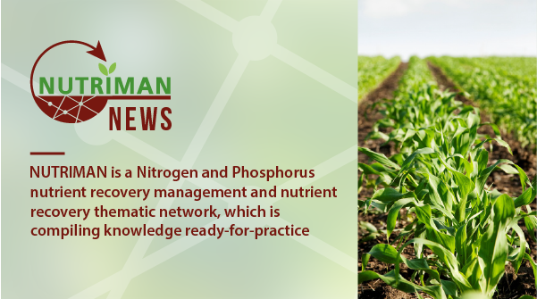 The new <a href="/NUTRIMANnetwork/">NUTRIMAN network</a> press release is out and it is available in 8 languages! Click to learn more: nutriman.net/media/press-kit

<a href="/ZLTO/">ZLTO</a> <a href="/ILVOvlaanderen/">ILVO</a> @pcsierteelt <a href="/agroinnova/">Agroinnova</a> <a href="/iung_pib/">Instytut Uprawy Nawożenia i Gleboznawstwa - PIB</a> <a href="/DAM_Aguas/">Depuración de Aguas del Mediterráneo</a> <a href="/Bioref_Cluster/">Biorefine Cluster</a> #agriculture #farmers <a href="/nitrogen/">Christopher Su</a> #phosphorus #recovery #fertilisers