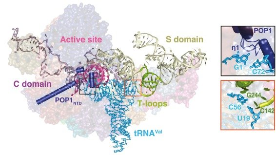 Ohio State Chemistry And Biochemistry Osu Cbc Twitter