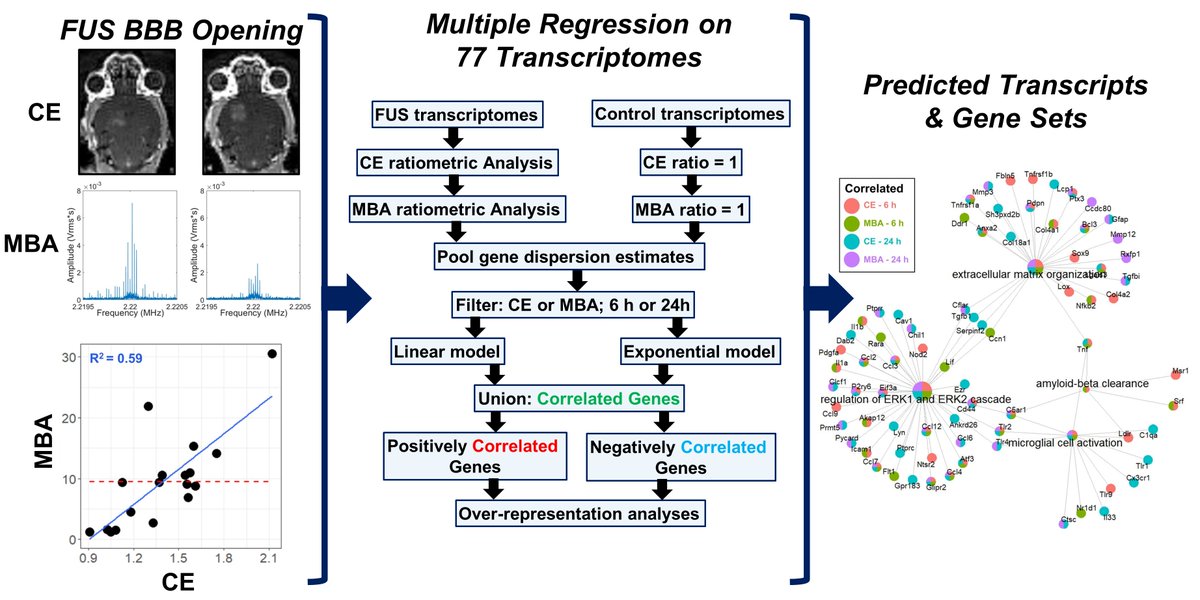 Price Lab @ University of Virginia (@pricelabuvabme) on Twitter photo Alex Mathew's latest uses a data-driven approach (77 transcriptomes!) to predict how #focusedultrasound BBB opening drives signaling for neurogenesis, amyloid-beta clearance, BBB closure, and others. <a href="/UVABME/">Virginia BME</a> <a href="/FUSFoundation/">Focused Ultrasound Foundation</a> <a href="/UVAEngineers/">UVA Engineering</a>. <a href="/THNOdotORG/">Theranostics</a>. thno.org/ms/doc/2589/pu… Alex Mathew's latest uses a data-driven approach (77 transcriptomes!) to predict how #focusedultrasound BBB opening drives signaling for neurogenesis, amyloid-beta clearance, BBB closure, and others. <a href="/UVABME/">Virginia BME</a> <a href="/FUSFoundation/">Focused Ultrasound Foundation</a> <a href="/UVAEngineers/">UVA Engineering</a>. <a href="/THNOdotORG/">Theranostics</a>. thno.org/ms/doc/2589/pu…
