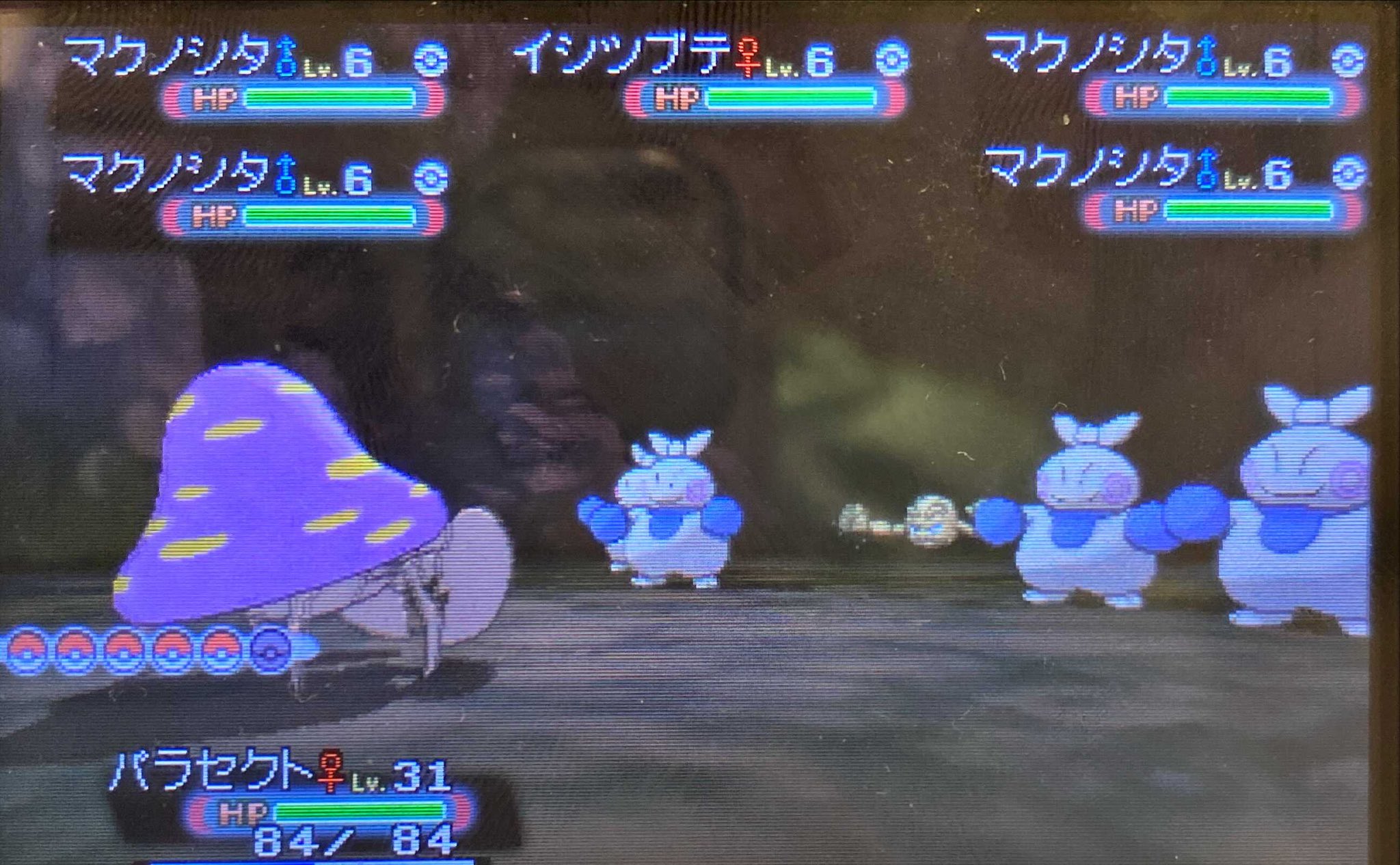 みっちぃ 色違いリボンあつめ As群れバトル 石の洞窟でイシツブテ光りました これ凄く確率低いの引いたんじゃない W 群れバトル 色違いポケモン T Co H5lbhepizf Twitter みっちぃ 色違いリボンあつめ As群れバトル 石の洞窟でイシツブテ光りました これ凄く確率低いの引いたんじゃない W 群れバトル 色違いポケモン T Co H5lbhepizf Twitter