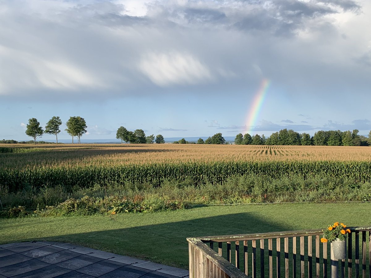 Highlander1705's tweet photo. @YourMorning looking out my back door…. https://t.co/PiYsQq843x
