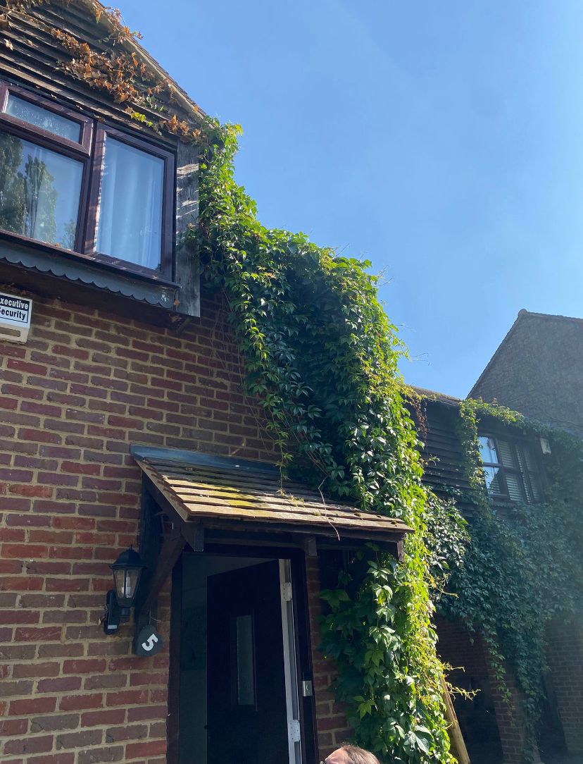 GutterProSophie's tweet image. No, not an entry to this year&apos;s Chelsea flower show.

This was growing from a customers gutter.

Tough job. But we can handle it!

#guttercleaning #gutterpro