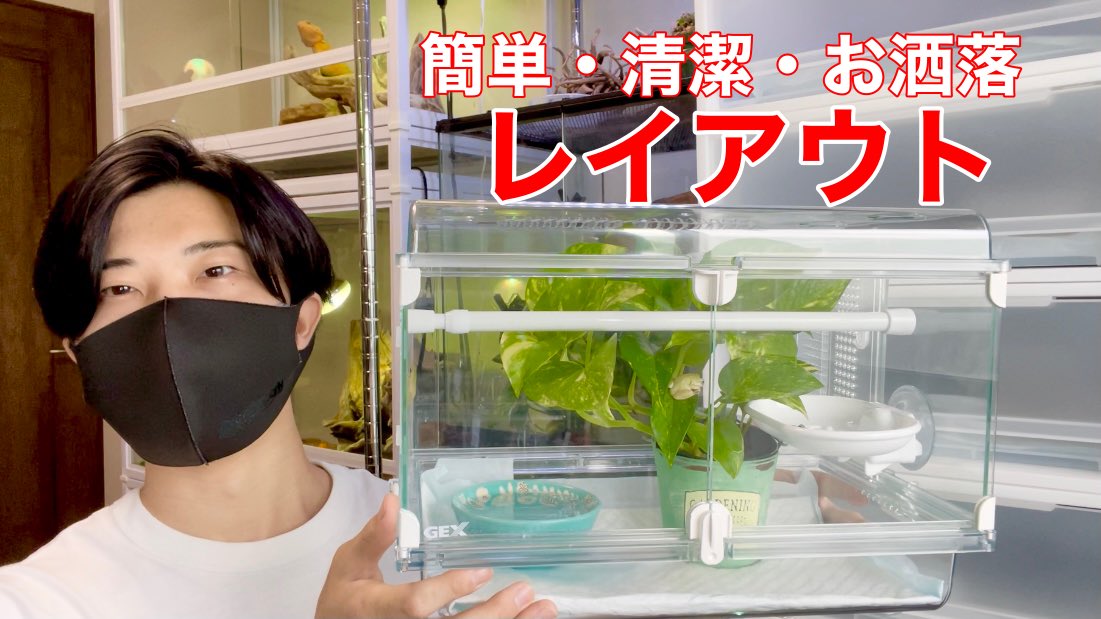 Rafちゃんねる 有馬 Youtube更新 グラスハーモニーと100均で簡単 清潔 お洒落なカエル飼育レイアウト T Co Y2wazf6ro6 拡散宜しくお願いします Rafちゃんねる イエアメガエル T Co Puahiq5fvs Twitter