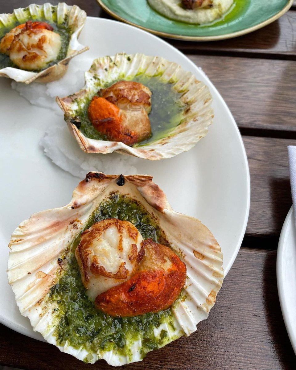 Dover sole meunière and roast scallops on the half shell with garlic butter.  Weekend ✅ 

📸 IG livsfoodclub
