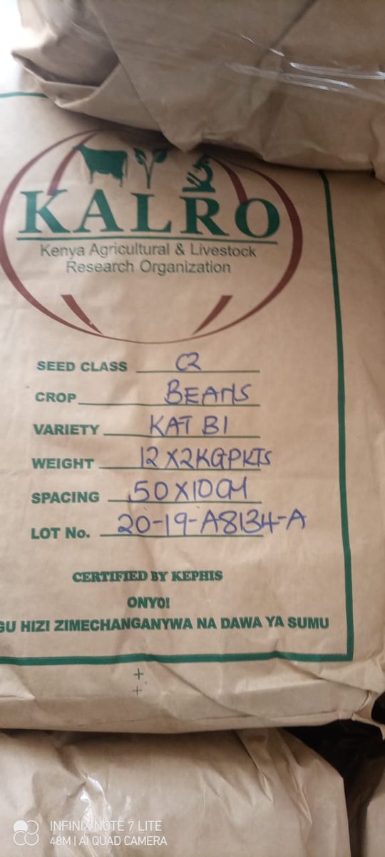 evVEAKENYA tweet media