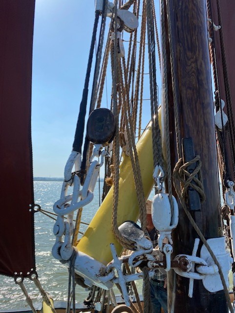 RotaryCantUK's tweet photo. Our Rotarians &amp; guests had the chance to experience a trip on the sailing barge #Mirosa - the weather gods looked down on them &amp; they enjoyed a lovely outing in the warm sun!🌞https://t.co/MQ8bd43lkF

#rotaryfellowship #rotaryvocational #sailingbarge #rotarymembers @RotarySE1120 https://t.co/Azhc5DjqJB