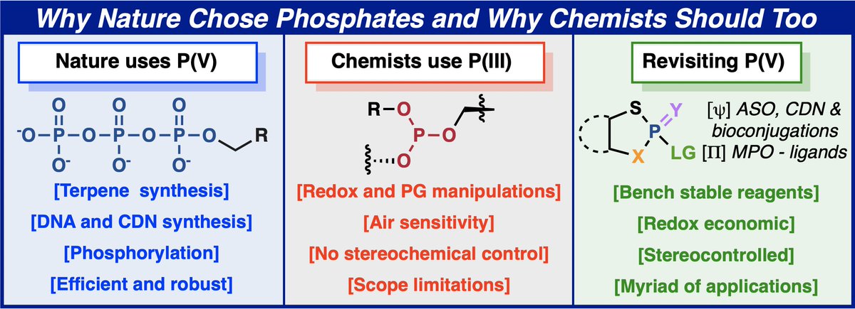 Baran Lab (@baranlabreads) on Twitter photo Appearing today in <a href="/ACSCentSci/">ACS Central Science</a> is an outlook on P(V) chemistry written with the BMS team: bit.ly/3nhDzbW Appearing today in <a href="/ACSCentSci/">ACS Central Science</a> is an outlook on P(V) chemistry written with the BMS team: bit.ly/3nhDzbW