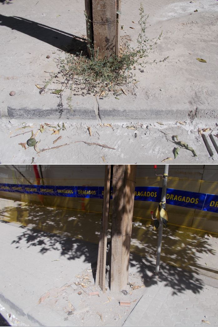 SOSterritorios's tweet photo. 🔴#Dragados acaba con los #Árboles llenando los #Alcorques de cemento en su obra de #Portaceli.
También @dragados es intocable y no está sujeta a responsabilidad⁉️
Se nota mucho que es otro de los #PelotazosUrbanísticos que vertebra el #TranvíaSevilla.
➡️https://t.co/iouNs3yTAo https://t.co/MH3fIqqqF4