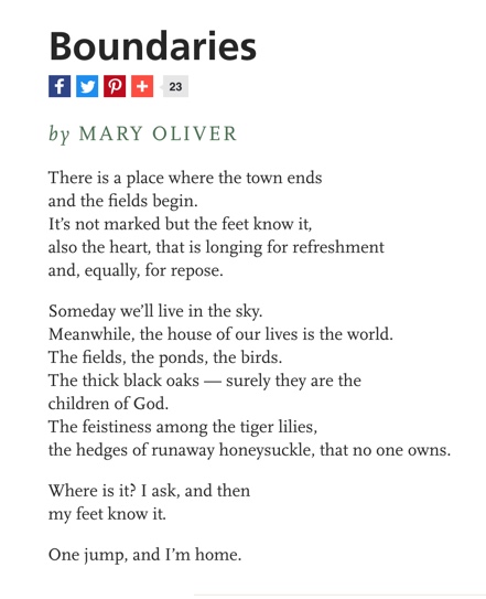 Happy Mary Oliver\s birthday! 