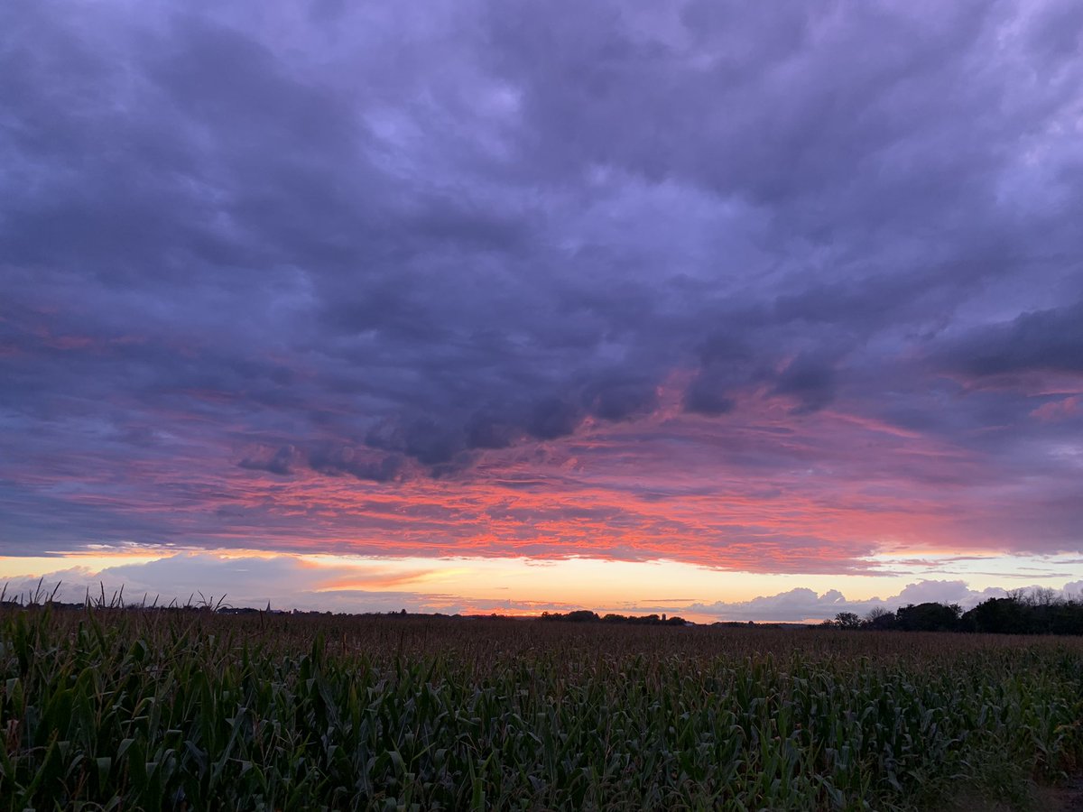 Two launches that ended with an amazing sunset on a #DEKALB_Canada corn field🤩 <a href="/JulieLacasse10/">Julie Lacasse</a> <a href="/EricBertrandDK/">Eric Bertrand</a>