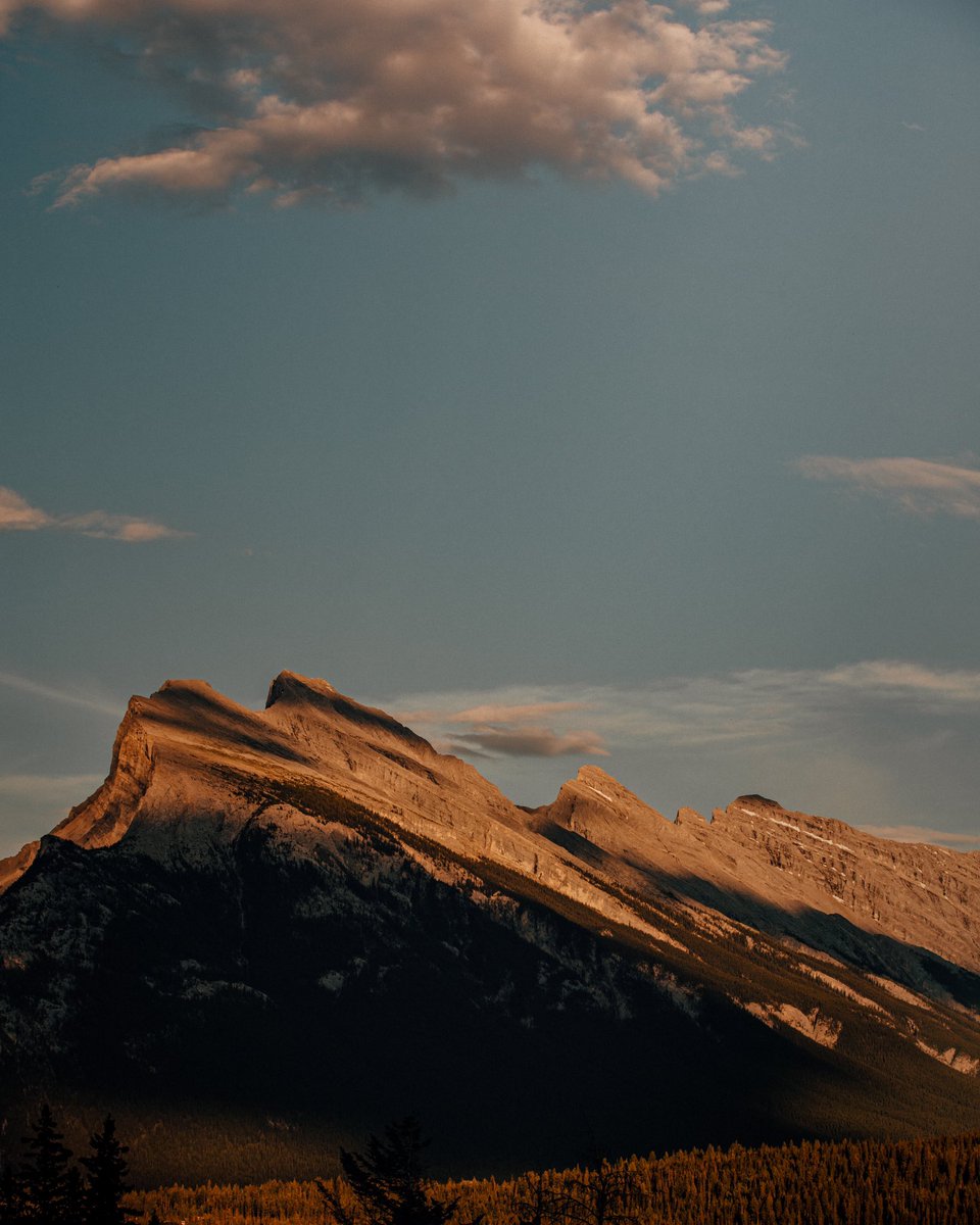 GM Twitter! #NFTs coming really soon!