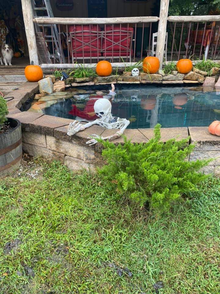 arcanaobscura's tweet photo. Halloween pond by Misty Cripe Basham https://t.co/Yc7uR4Dr3z