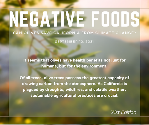 negativefoods's tweet photo. Can Olives Save CA from Climate Change? Read my interview with Corto Olive Oil in this week's newsletter. https://t.co/WLTUWbqclY
#negativefoods #carbonlabels #supplychain #foodsolutions #sustainability #sustainablesolutions #carbonnegative #climatechange #climatecrisis https://t.co/GHVl1efdEY