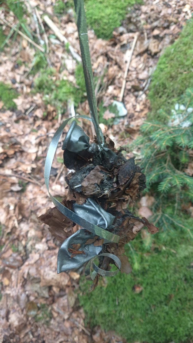 Les ballons gonflés à l'hélium qui s'envolent dans le ciel finissent toujours par retomber quelque part. Toujours.