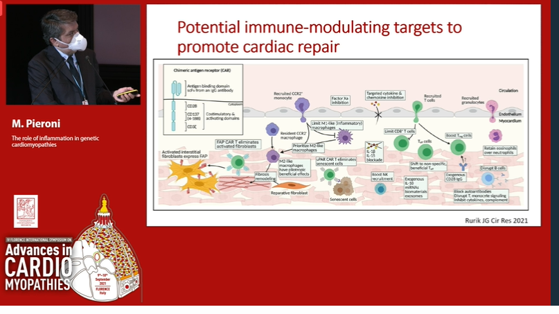 THE ROLE OF INFLAMMATION IN GENETIC CMPs
Cardioimmunology: immune system in ♥️
Injury➡️immune response➡️innate and adaptive
Inflammation in ACM, Fabry disease, HCM, Brugada syndrome➡️electrical instability
Inflammation➡️therapeutic target
@mauripieroni72 @IacopoOlivotto #HCM